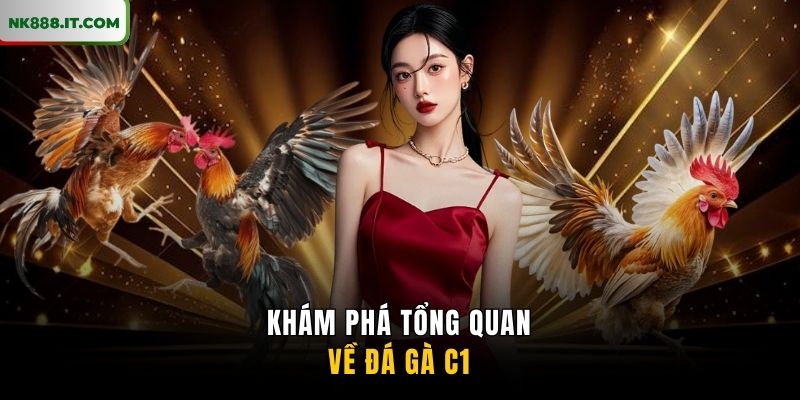 kham-pha-tong-quan-ve-da-ga-c1