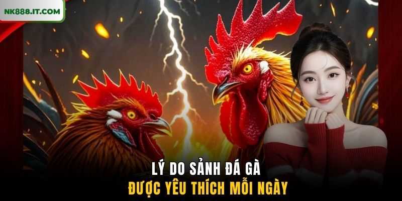 ly-do-sanh-da-ga-duoc-yeu-thich-moi-ngay