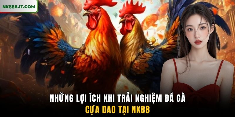 nhung-loi-ich-khi-trai-nghiem-da-ga-cua-dao-tai-nk88