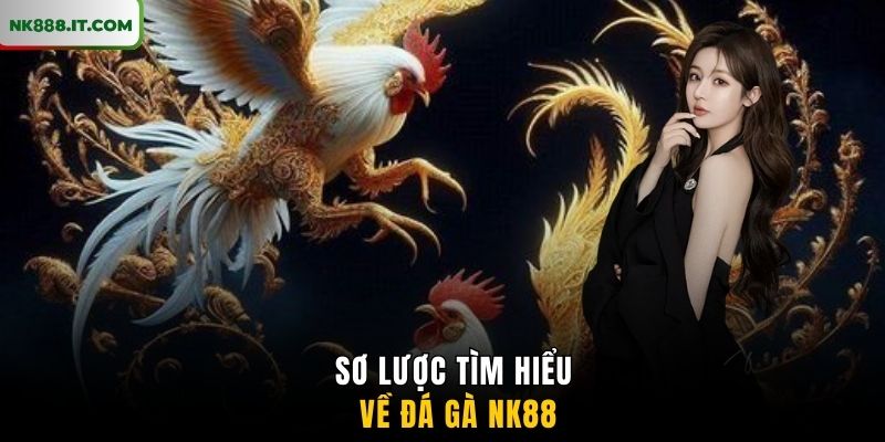 so-luoc-tim-hieu-ve-da-ga-nk88